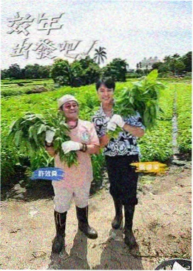 缠绕的夜晚最终集讨论热度数据图